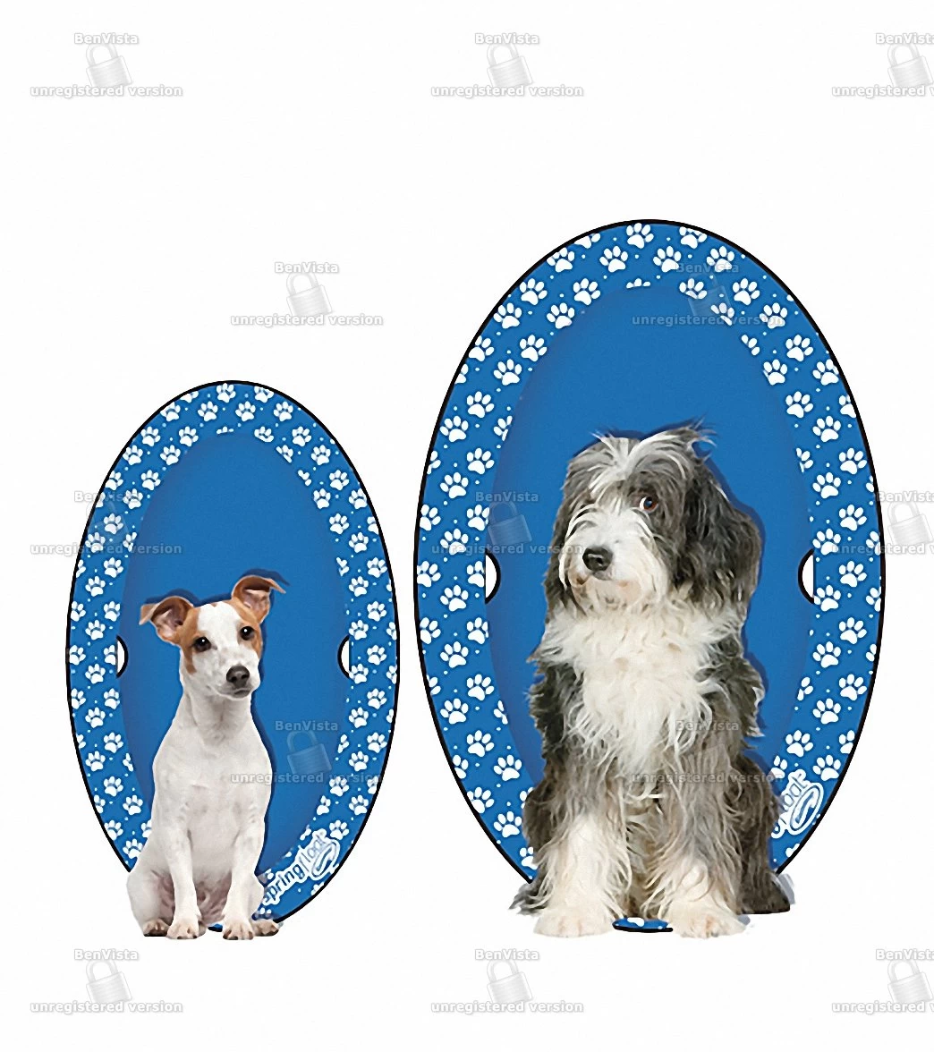 Dogs' Spring Float Paddle Paws (Large 65lbs+)