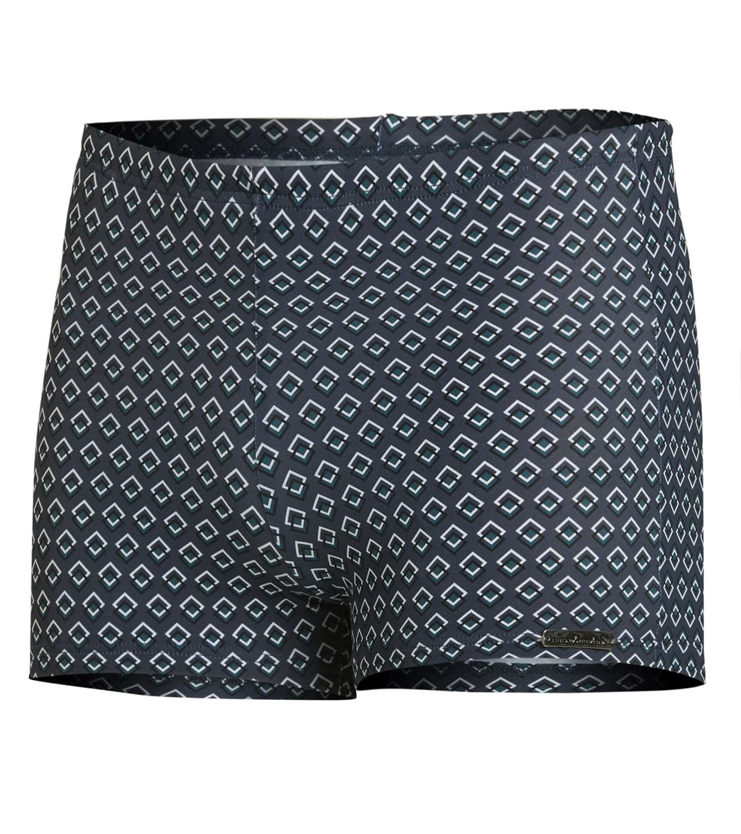 Men's Stripe Euro Brief Swimsuit