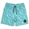 Boys' Peaks Board Shorts (Baby)